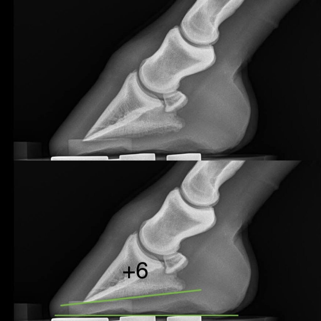 0D118E09-0D37-485D-9677-0428DB2E85D9