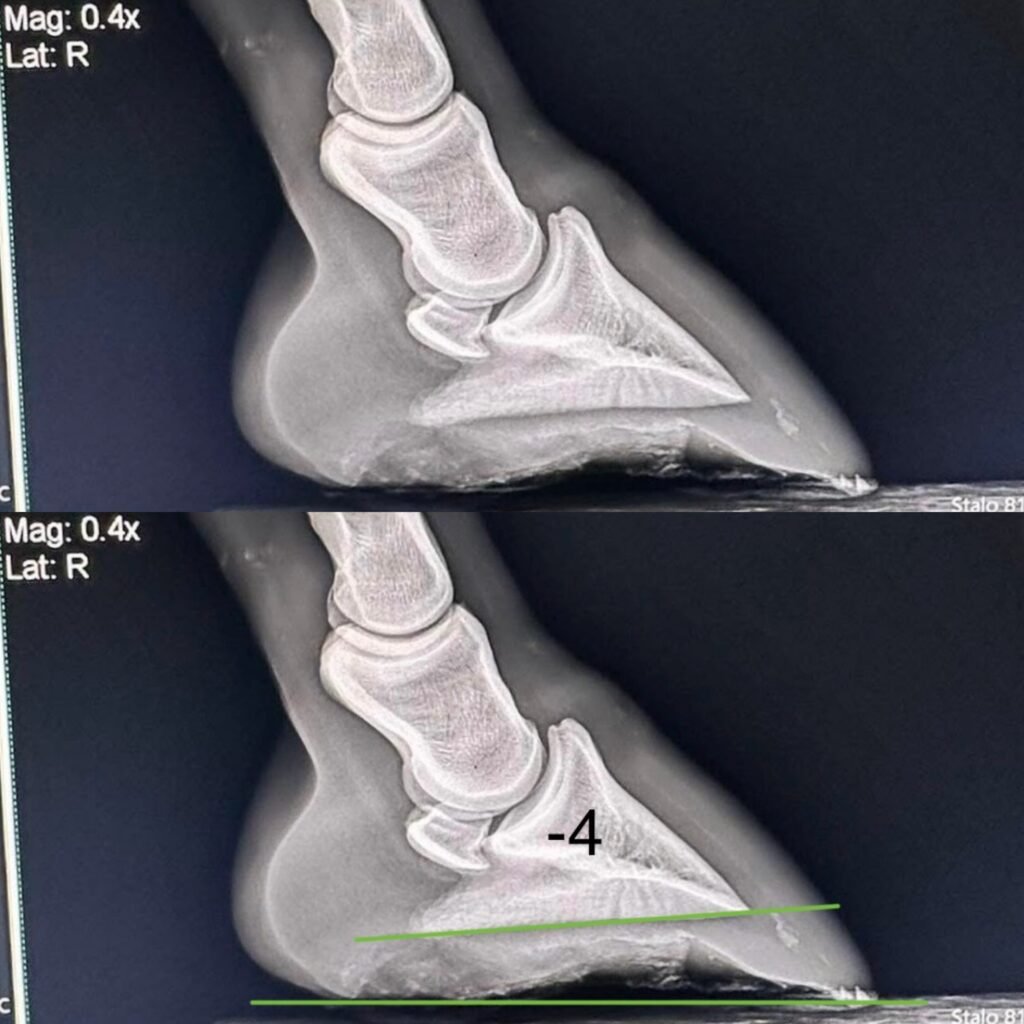 1BB7647A-383F-45DD-B074-F0A80F5DE19B