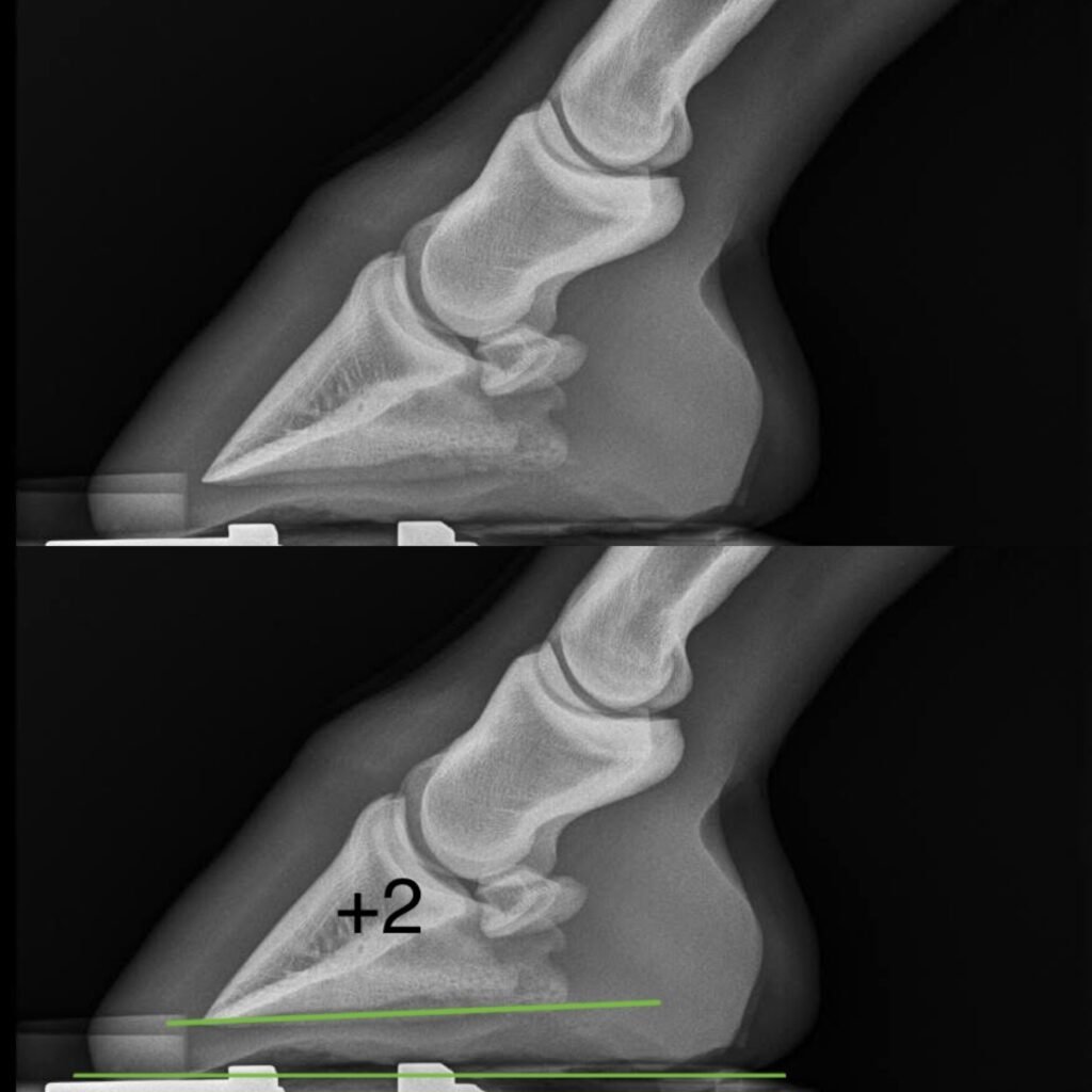 9FAEF1DC-9433-4D79-B0AB-A16A6272C53A